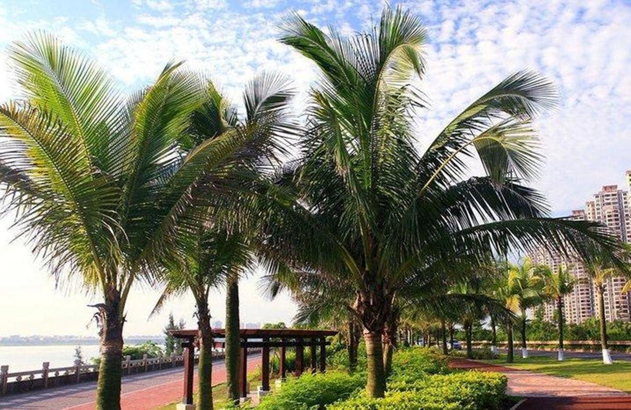 Haikou Tianyi International Hotel Exterior photo